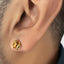 Snake Tiger Eye Stud Earrings